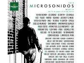 Microsonidos 2018, confirmaciones