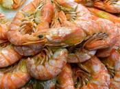 Argentina abrió nuevo mercado