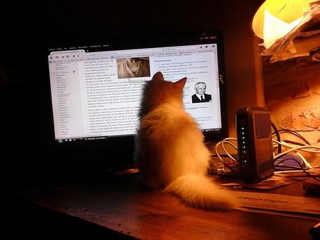 Básicos para hacer una buena campaña de mailing Básicos para hacer una buena campaña de mailing