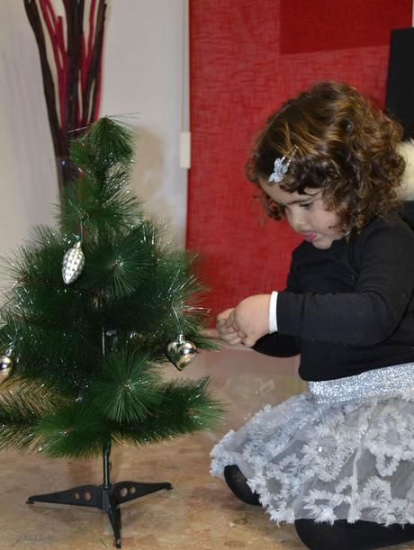 Y LLEGÓ LA NAVIDAD EN NUESTRO HOGAR (II).