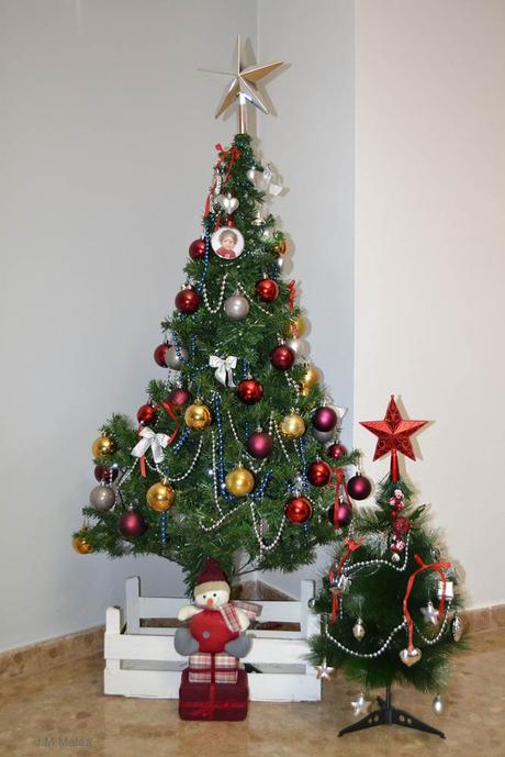 Y LLEGÓ LA NAVIDAD EN NUESTRO HOGAR (II).