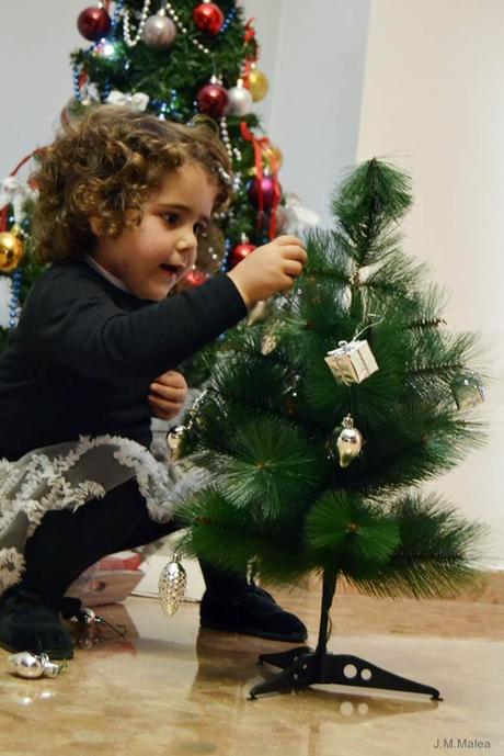 Y LLEGÓ LA NAVIDAD EN NUESTRO HOGAR (II).