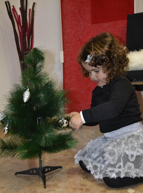 Y LLEGÓ LA NAVIDAD EN NUESTRO HOGAR (II).