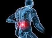 Colágeno articulaciones