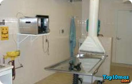 Anciana-Polaca-top-10-historias-reales-resurreccion