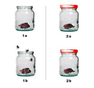 Campos de estudio y aplicación de la Biología Campos de estudio y aplicación de la Biología