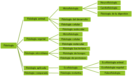 Campos de estudio y aplicación de la Biología Campos de estudio y aplicación de la Biología