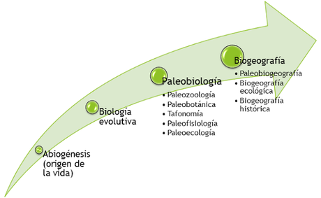 Campos de estudio y aplicación de la Biología Campos de estudio y aplicación de la Biología