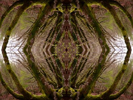 Il Venerdí di Photosatriani N. 137