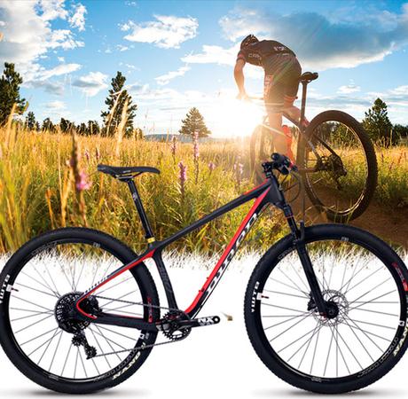 LAS APUESTAS DE BOSCH