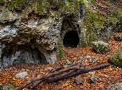 guarida