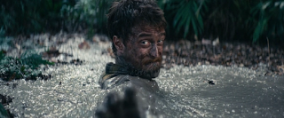 Jungle (Greg McLean, 2017. AUSTRA / COL) Jungle (Greg McLean, 2017. AUSTRA / COL)