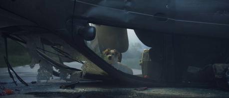 PARA TU MASCOTA AFFINITY ONLINE: Una app para el Face