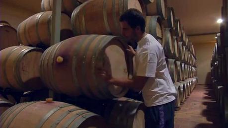 ¿DONDE COMPRAR RIBERA DEL DUERO ONLINE?