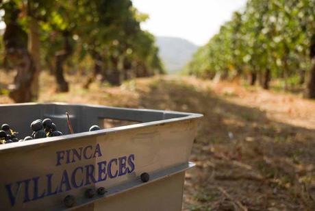 comprar-ribera-del-duero333333333