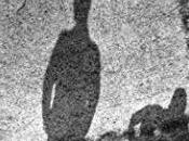 Toño Ciruelo Evelio Rosero,Descargar gratis