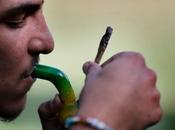 #Marihuana #OnLine negocio ciernes #Israel