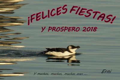 ¡FELICES FIESTAS!
