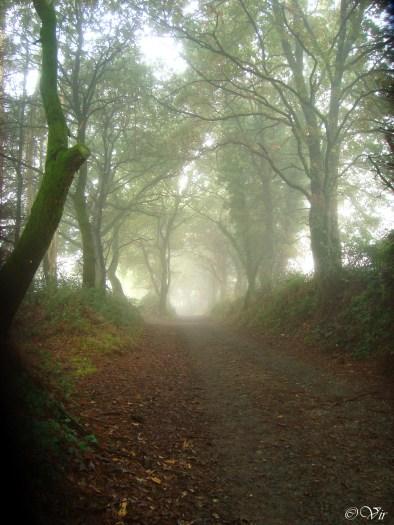 El Camino de Santiago. 1.350 kilómetros de superación