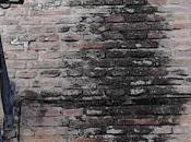 barrera económica edad