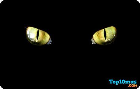 Jolakotturinn-top-7-demonios-de-navidad