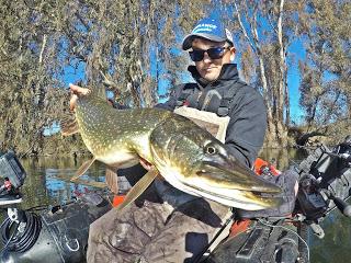 Últimos lances del año Últimos lances del año