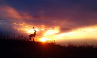 NO SÉ SI DEBO MOVERME...