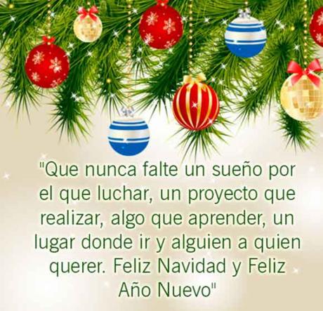 Feliz Navidad/Merry Christmas :🎆🎉🥂