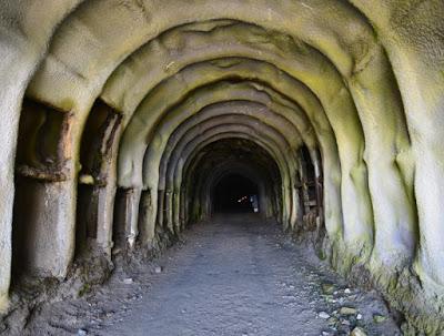 Cómo visitar el glaciar Aletch de manera económica Cómo visitar el glaciar Aletch de manera económica