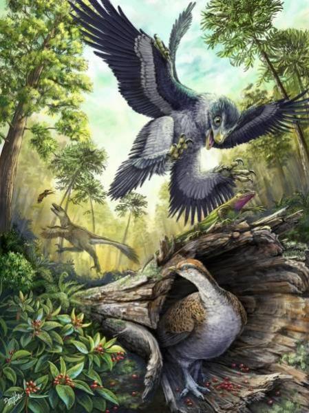 Evidencia de como los dinosaurios se volvieron aves