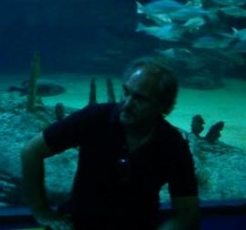 QUE NO HAY PISOS PARA ALQUILAR ¡COÑO!