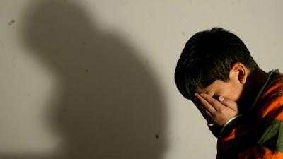 Hay 30 denuncias al mes de violencia hacia los chicos