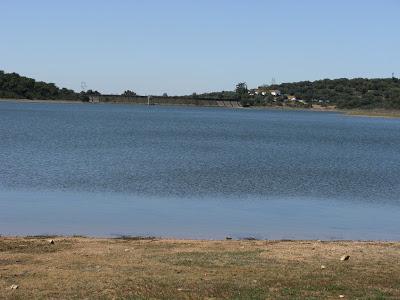 EL (NEGRO) FUTURO DEL AGUA EN ESPAÑA.