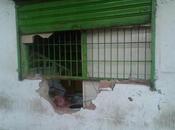coba...!!! Saqueos comercios estremece #CiudadBolívar #Venezuela