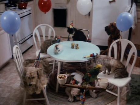 Tales from the Crypt - Temporada 1 Tales from the Crypt - Temporada 1