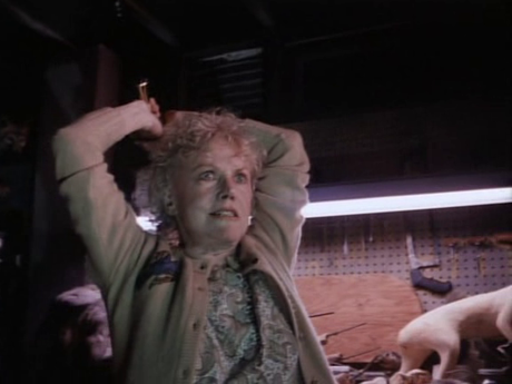 Tales from the Crypt - Temporada 1 Tales from the Crypt - Temporada 1