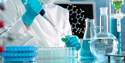 Siete principios para la experimentación y la innovación Siete principios para la experimentación y la innovación