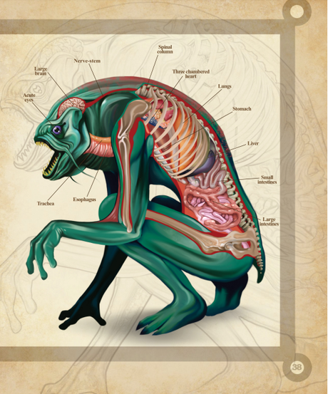 A Natural History of the Fantastic de Christopher Stoll. Una reseña