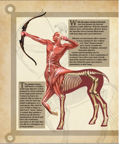 A Natural History of the Fantastic de Christopher Stoll. Una reseña