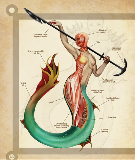 A Natural History of the Fantastic de Christopher Stoll. Una reseña