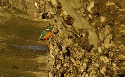 UNA ENTRADA LIGERITA PARA ESTAS FECHAS