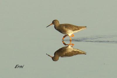 UNA ENTRADA LIGERITA PARA ESTAS FECHAS
