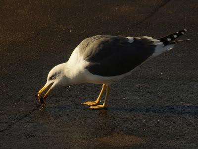 UNA ENTRADA LIGERITA PARA ESTAS FECHAS