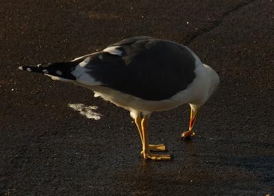 UNA ENTRADA LIGERITA PARA ESTAS FECHAS