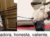 Colau, Inocentes