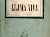 Llama viva