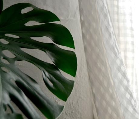 11 IDEAS IMPRESCINDIBLES PARA TU BIBLIOTECA