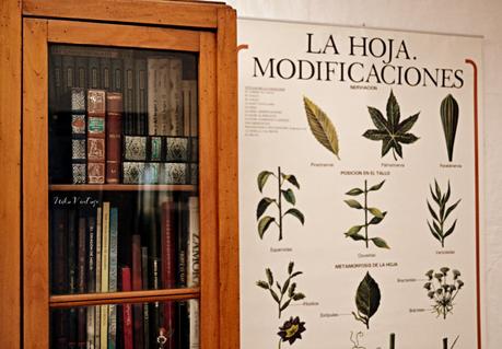 11 IDEAS IMPRESCINDIBLES PARA TU BIBLIOTECA