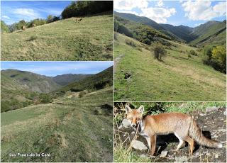 Piedrafita la Mediana-Peña Celleros (o El Corralón)-La Carba-Cueto Millaró (o Brañacaballo)