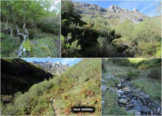 Piedrafita la Mediana-Peña Celleros (o El Corralón)-La Carba-Cueto Millaró (o Brañacaballo)